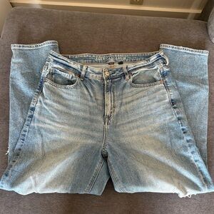 American Eagle High Waisted short Jeans
